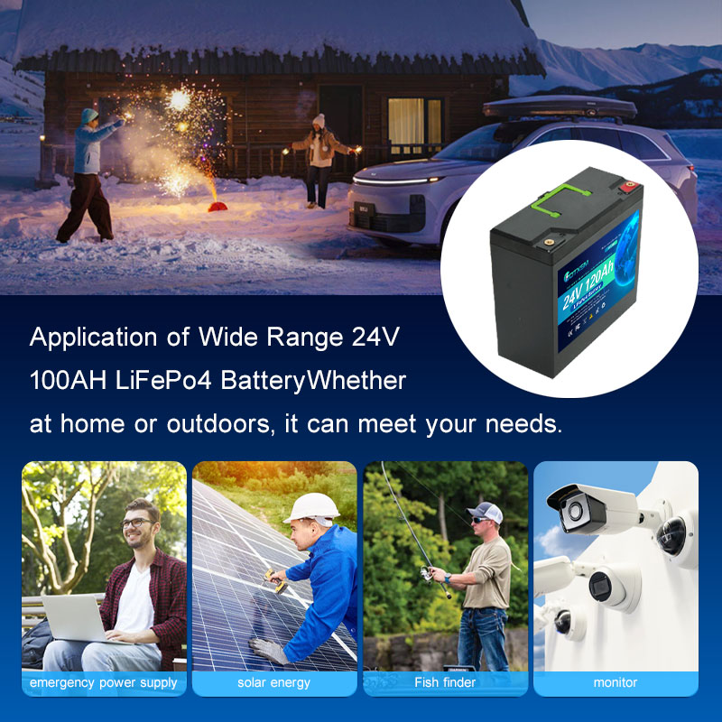 LiFePO4 100Ah 24V Battery Capa - Renewable Energy House avaliação e preço